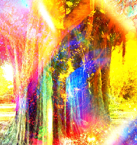Banyan Tree