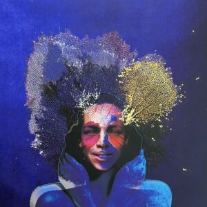 Seafan Figure Merge No.6 - Blue Hour
